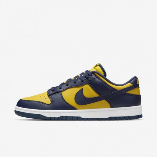 NK SB Dunk Low Michigan